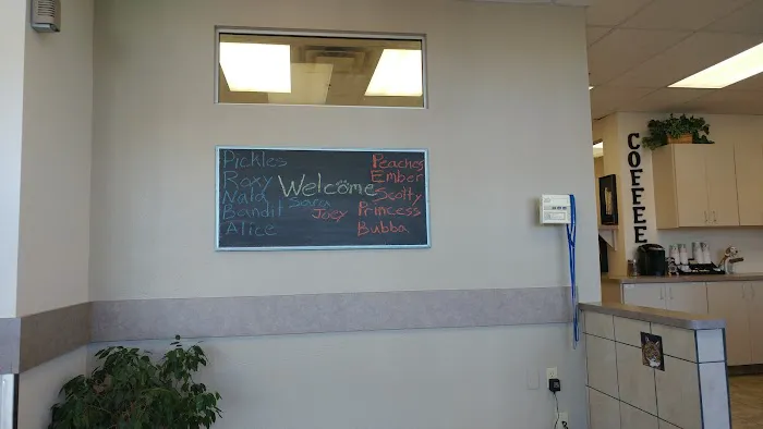 Lovet Pet Health Care - Anthem Picture 9