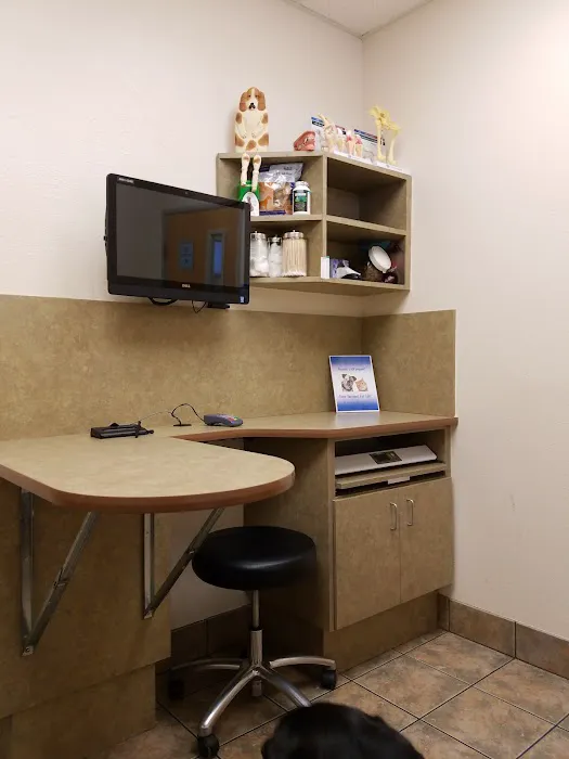 Lovet Pet Health Care - Anthem Picture 8