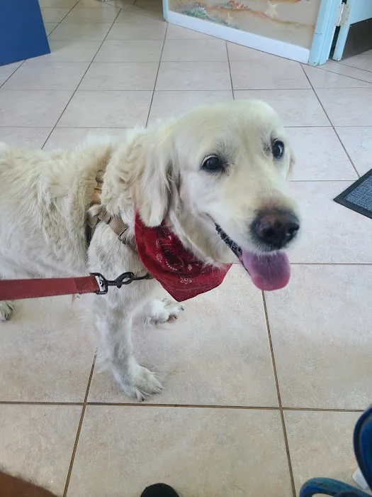 Gulf Animal Hospital Picture 6