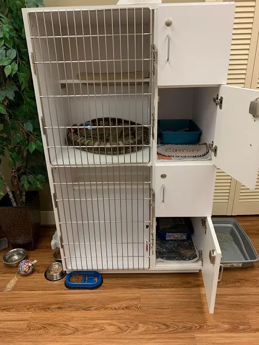 Grand Central Veterinary Hospital Picture 4