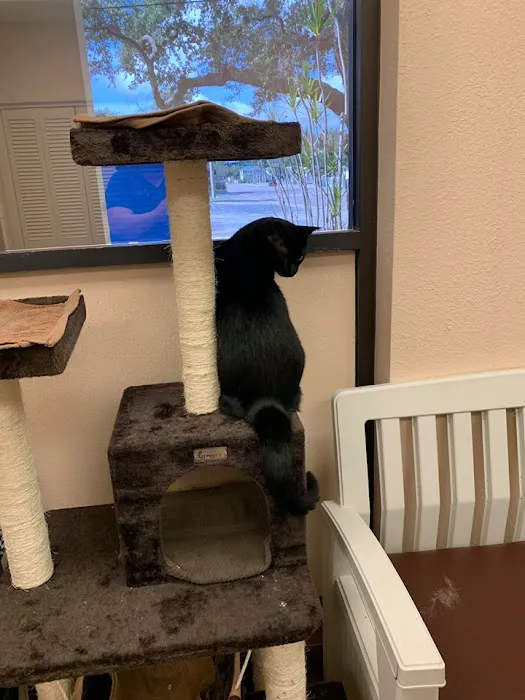 Grand Central Veterinary Hospital Picture 8