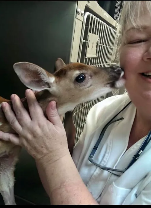 Grand Central Veterinary Hospital Picture 10