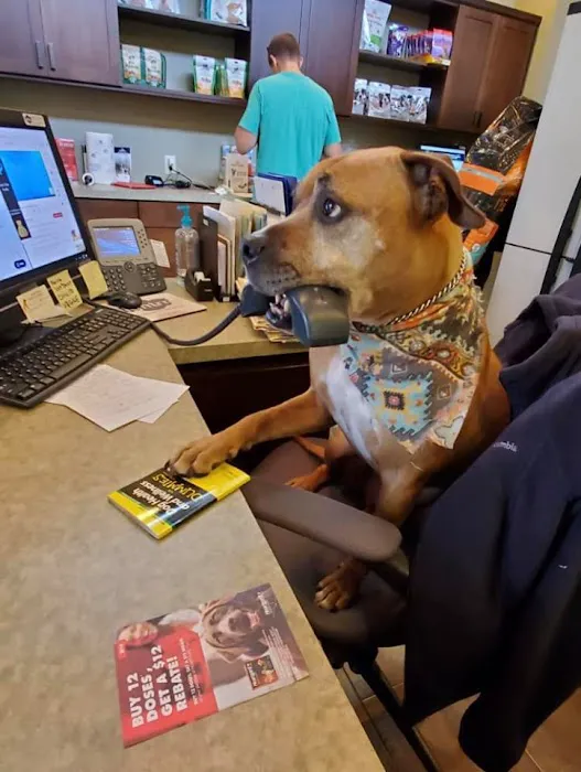 Grand Central Veterinary Hospital Picture 9