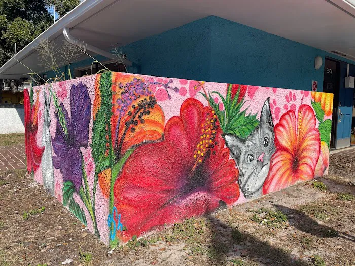 St. Pete Veterinary Hospital Picture 1