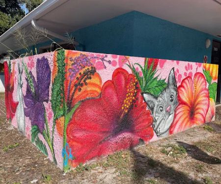 St. Pete Veterinary Hospital