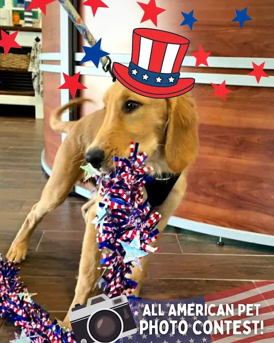St. Pete Veterinary Hospital Picture 5