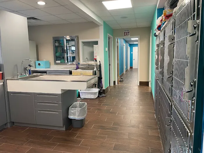 St. Pete Veterinary Hospital Picture 6