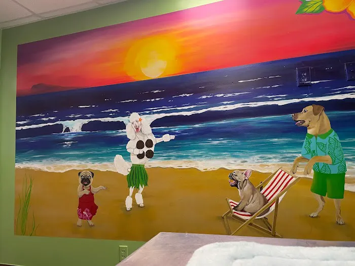 St. Pete Veterinary Hospital Picture 4