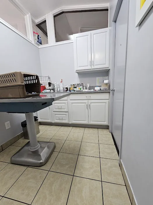 Skyway Animal Hospital Picture 2