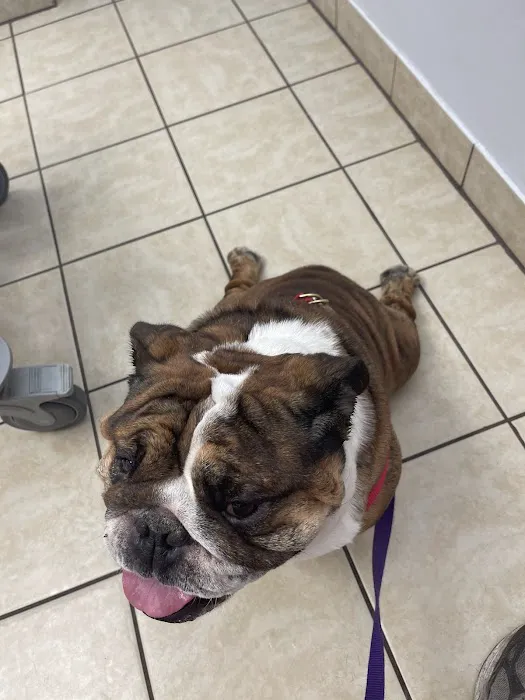 Skyway Animal Hospital Picture 3