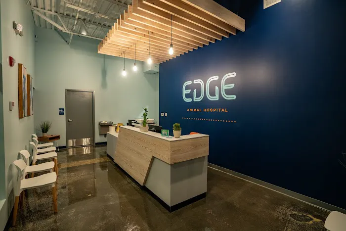 EDGE Animal Hospital Picture 3