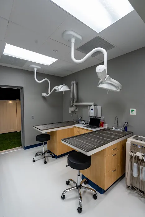 EDGE Animal Hospital Picture 7