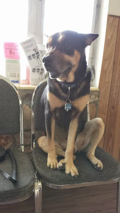 Gulfport Veterinarian Picture 1