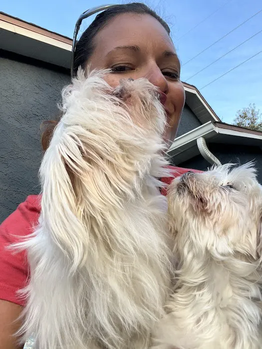 Gulfport Veterinarian Picture 7