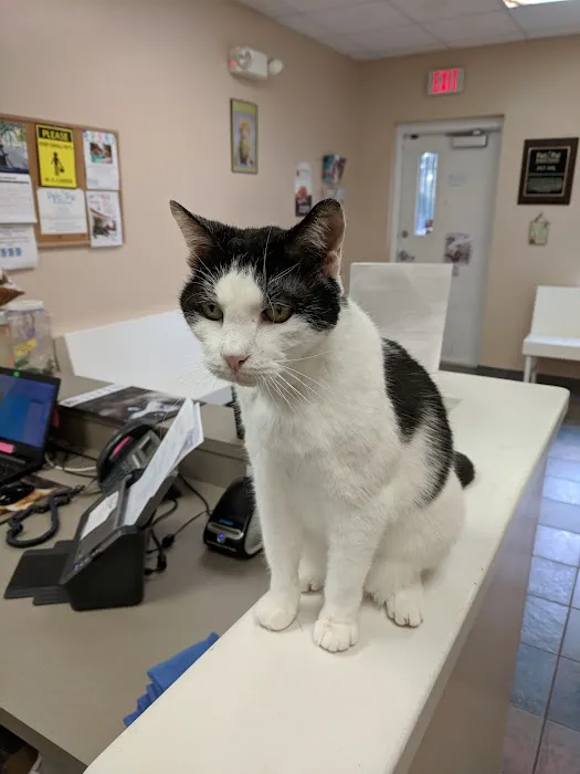 Pet Pal Veterinary Clinic Picture 3