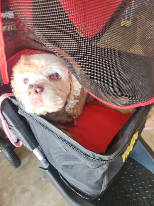 Pet Pal Veterinary Clinic Picture 5