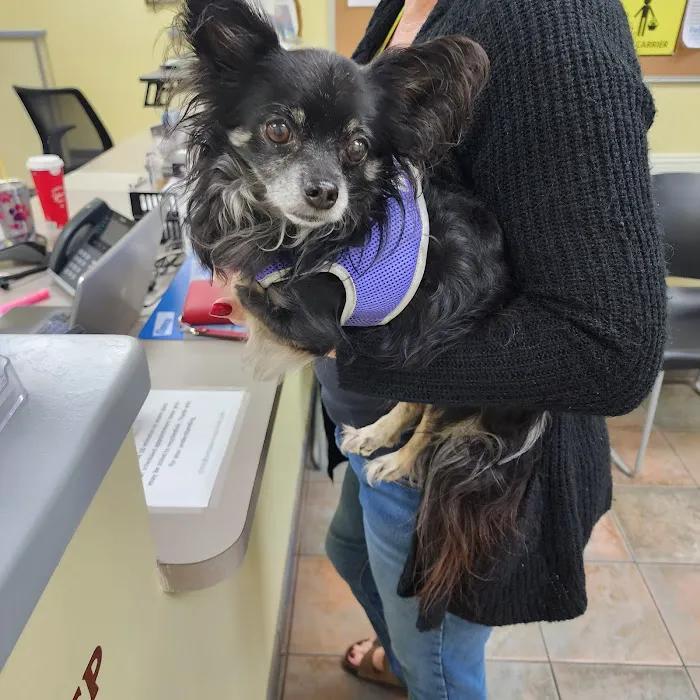 Pet Pal Veterinary Clinic Picture 2