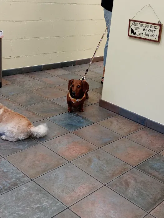Pet Pal Veterinary Clinic Picture 8