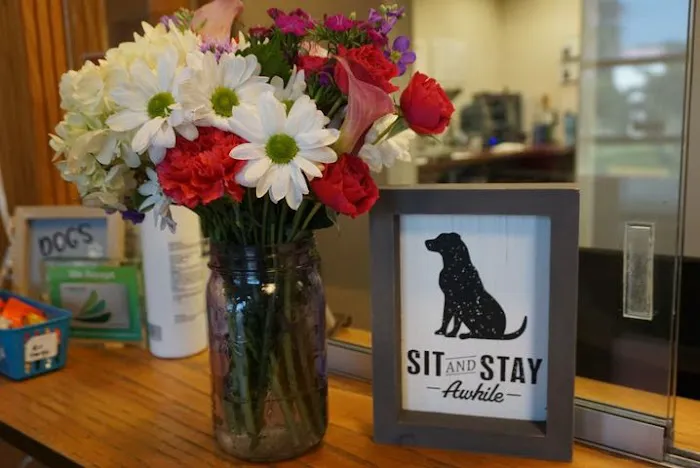 Fur Ever Friends Veterinary Clinic Picture 2