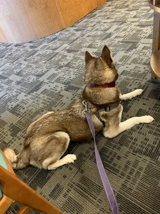 Fur Ever Friends Veterinary Clinic Picture 6