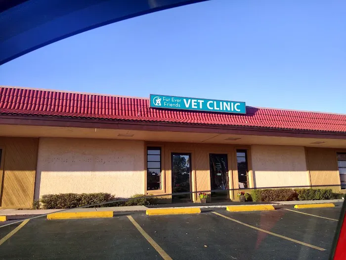 Fur Ever Friends Veterinary Clinic Picture 7
