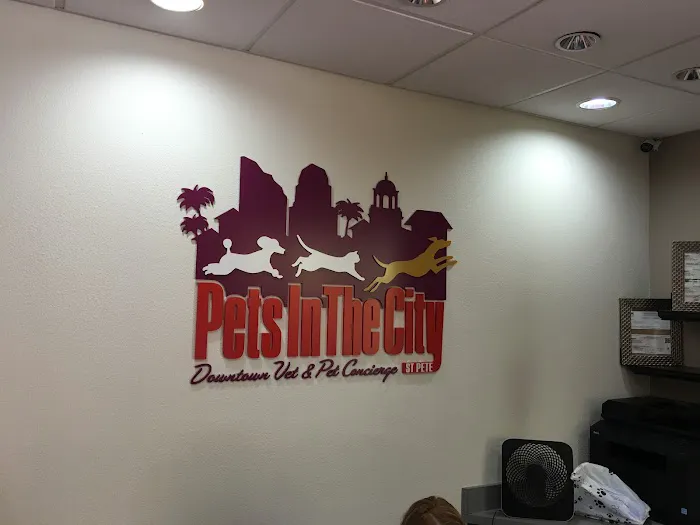 Downtown St. Pete Vet Clinic Picture 6