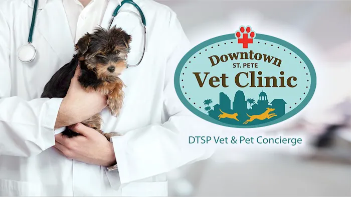 Downtown St. Pete Vet Clinic Picture 3
