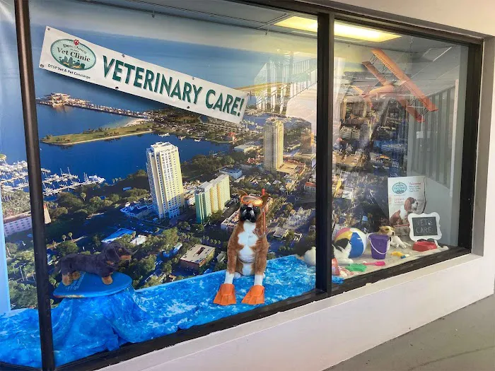 Downtown St. Pete Vet Clinic Picture 8