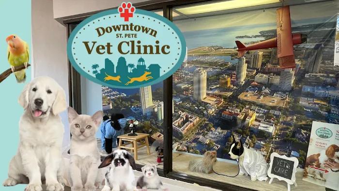 Downtown St. Pete Vet Clinic Picture 9
