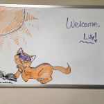Bayview Animal Hospital