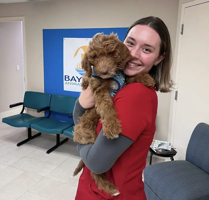 Bayview Animal Hospital Picture 2