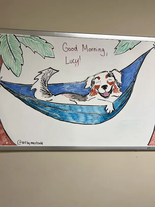 Bayview Animal Hospital Picture 10