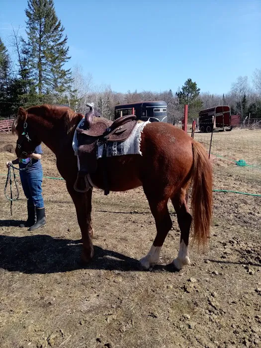 Leading Edge Veterinary Services Picture 4