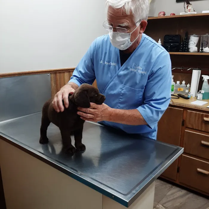 Colfax Animal Hospital Picture 1