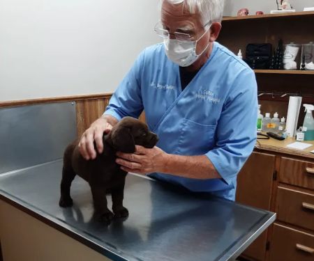 Colfax Animal Hospital