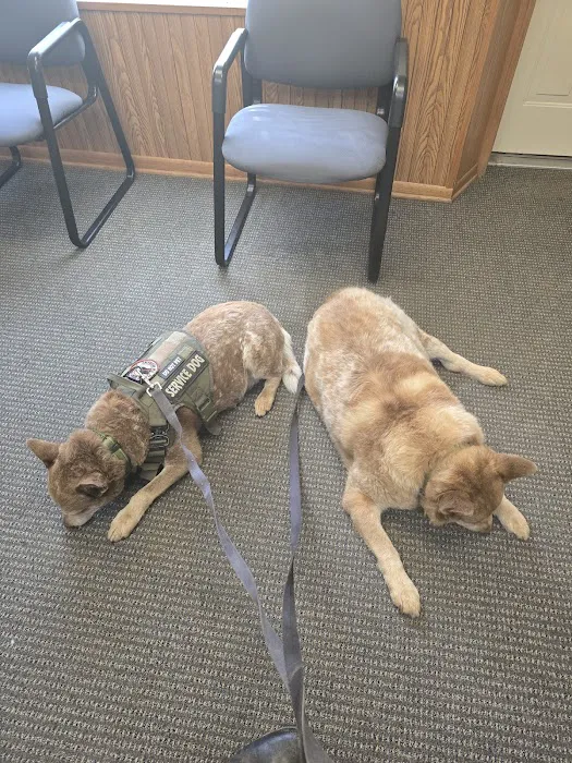 Colfax Animal Hospital Picture 8