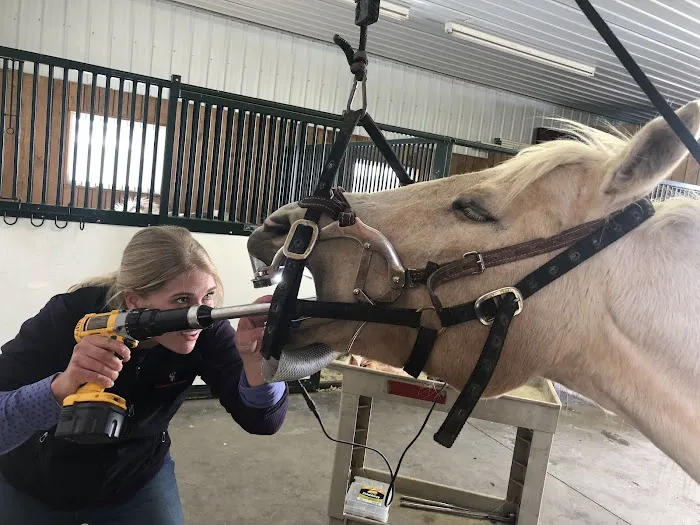 Chippewa Valley Veterinary Picture 5