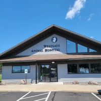 Westgate Animal Hospital Ltd: Mcdougall Margaret DVM ico