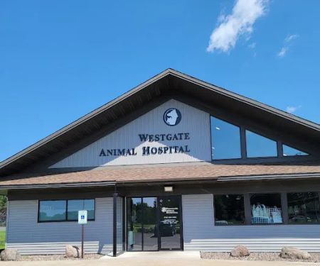 Westgate Animal Hospital Ltd: Mcdougall Margaret DVM