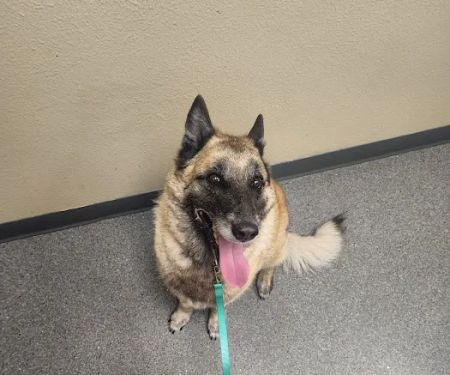 Chippewa Veterinary Clinic SC