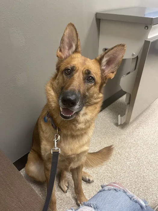 Riverview Animal Hospital Picture 7