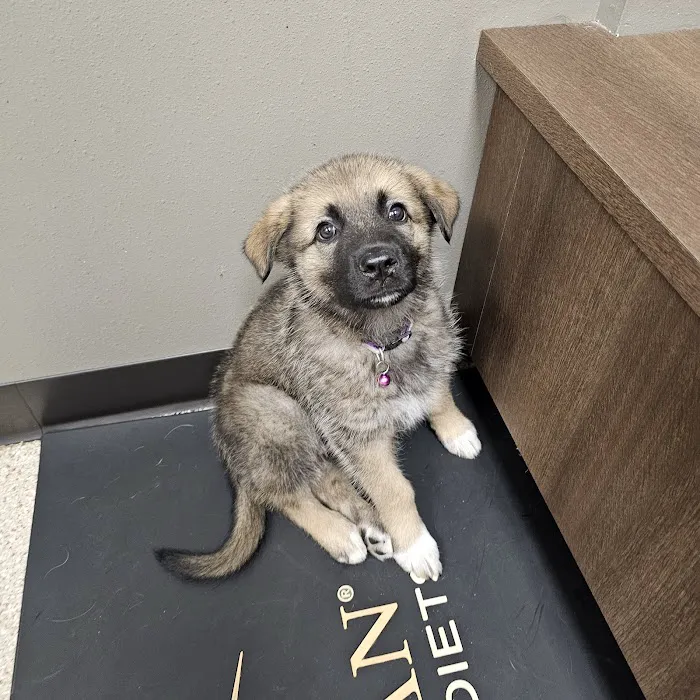 Riverview Animal Hospital Picture 10