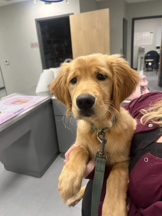 Lake Wissota Animal Hospital Picture 9