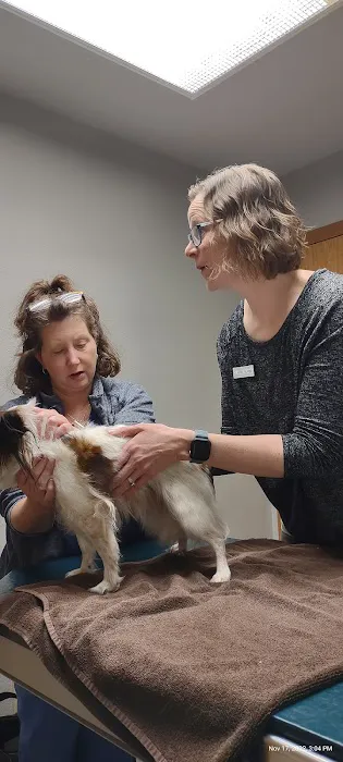 Kindness Animal Hospital Picture 10