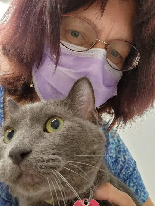 Northside Pet Hospital Picture 2