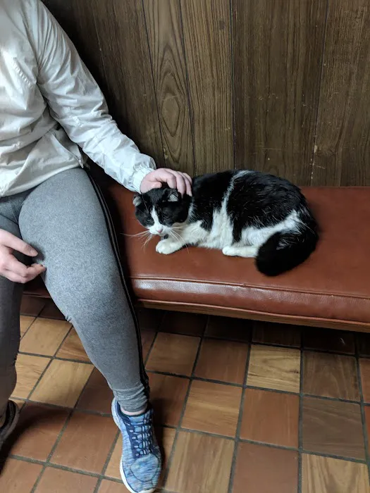Cadott Animal Clinic Picture 5