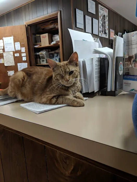 Cadott Animal Clinic Picture 6