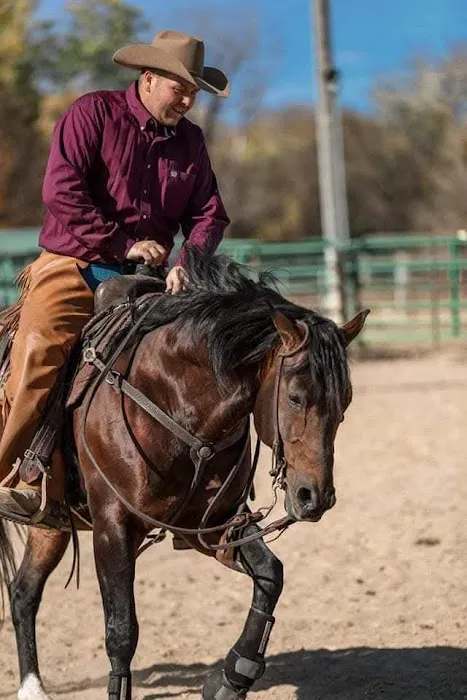 Stoffel Equine Veterinary Clinic Picture 1