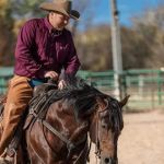 Stoffel Equine Veterinary Clinic