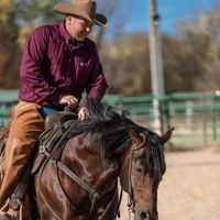Stoffel Equine Veterinary Clinic ico